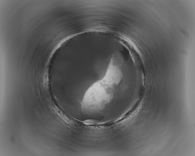 X0000111840923200907231405