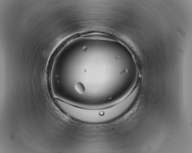 X0000111840924200907231405