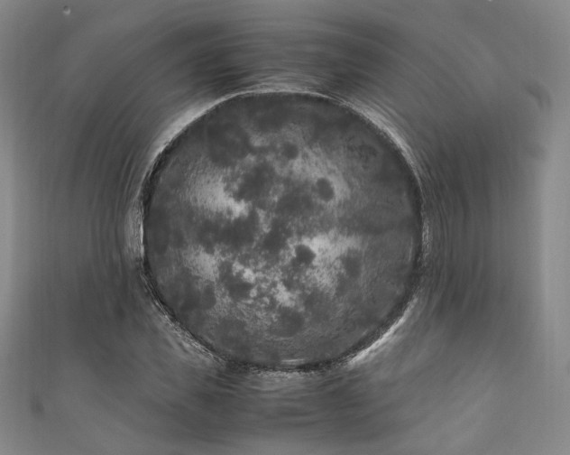 X0000111840925200907231405