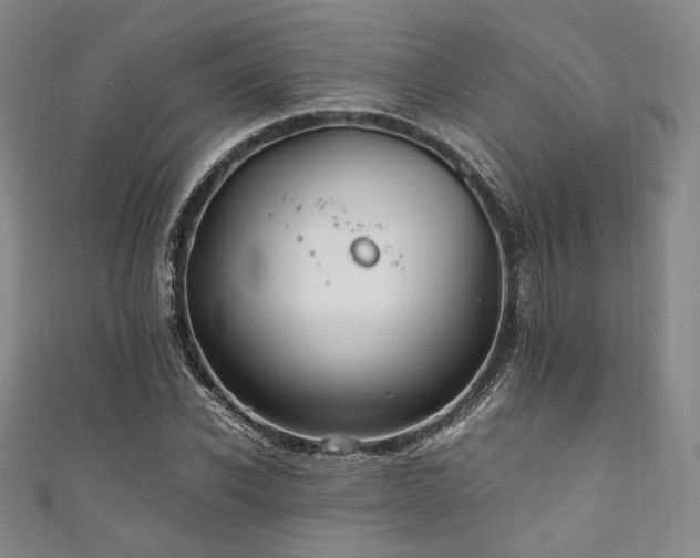 X0000111840926200907231405