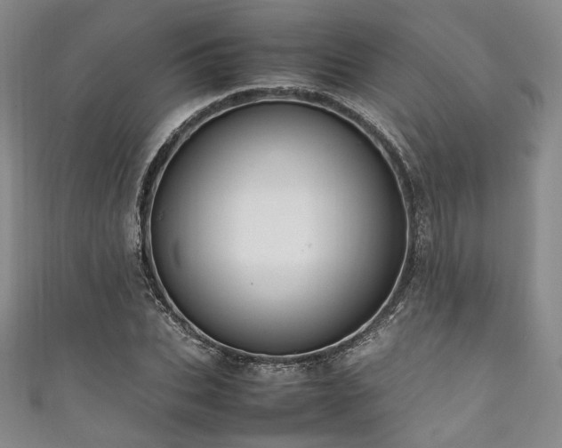 X0000111840927200907231405