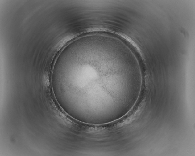 X0000111840929200907231405