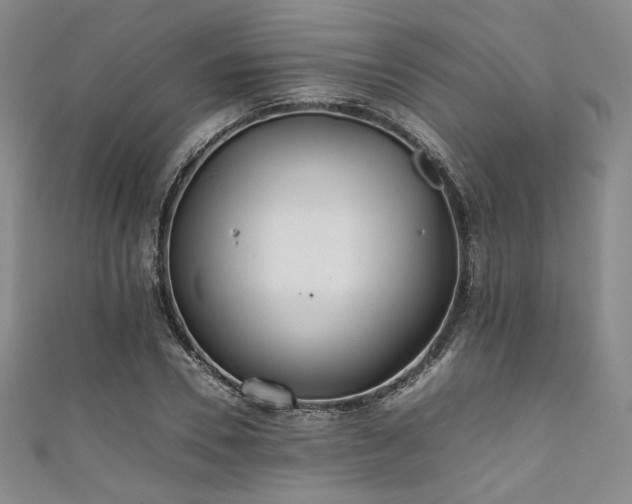 X0000111840930200907231405