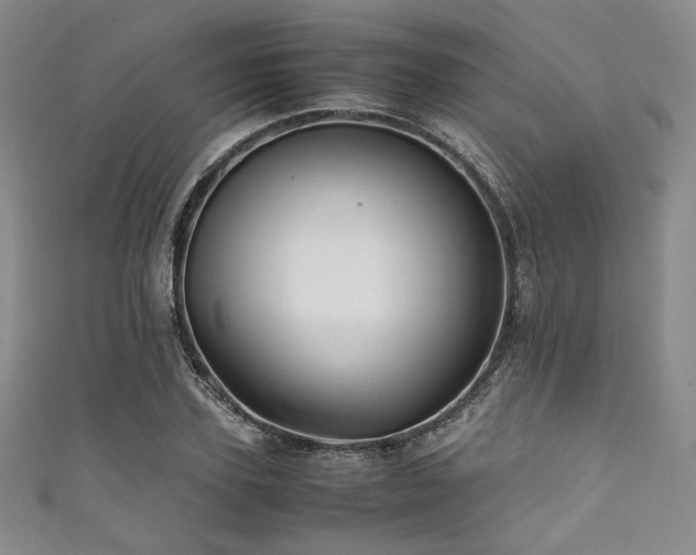 X0000111840931200907231405