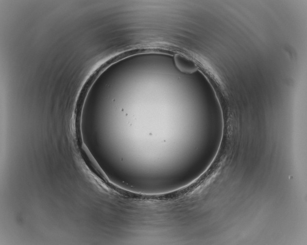 X0000111840932200907231405