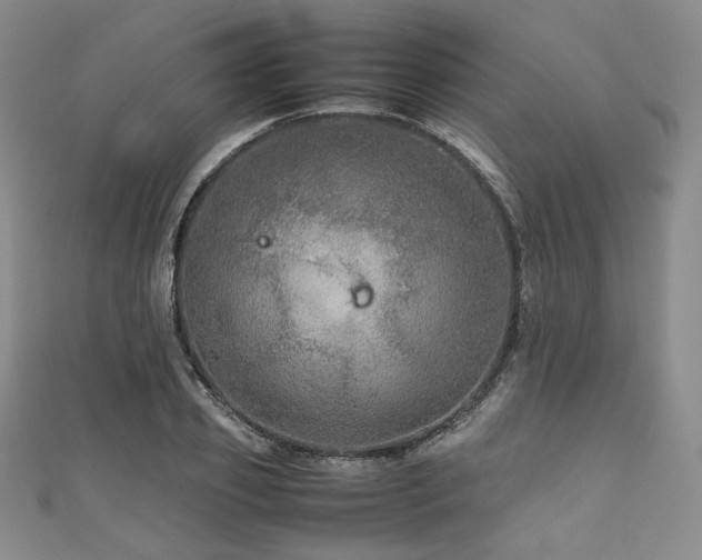 X0000111840933200907231405