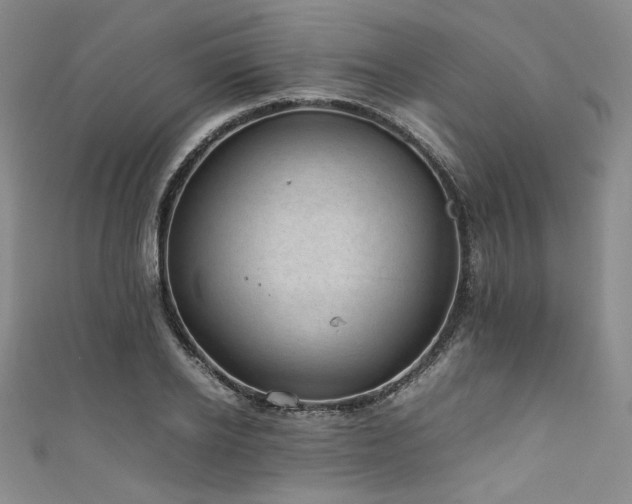 X0000111840934200907231405