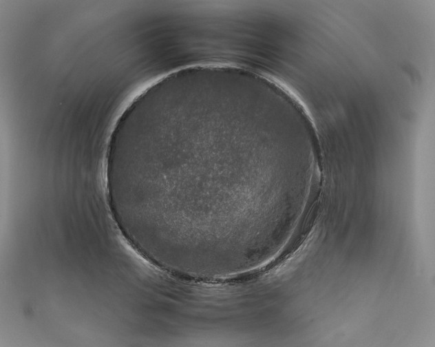 X0000111840935200907231405