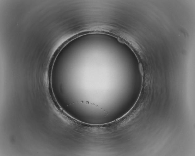 X0000111840936200907231405