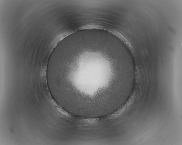 X0000111840937200907231405