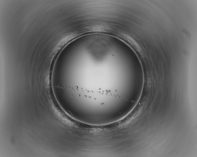 X0000111840938200907231405