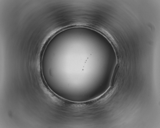 X0000111840939200907231405