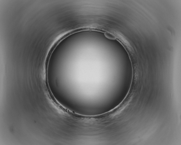 X0000111840940200907231405