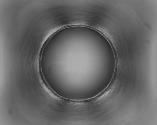 X0000111840941200907231405