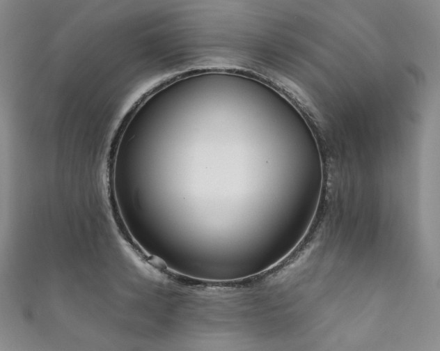 X0000111840942200907231405