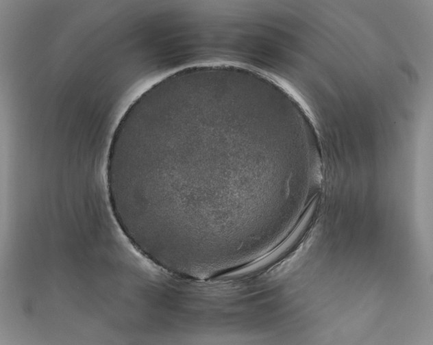 X0000111840943200907231405