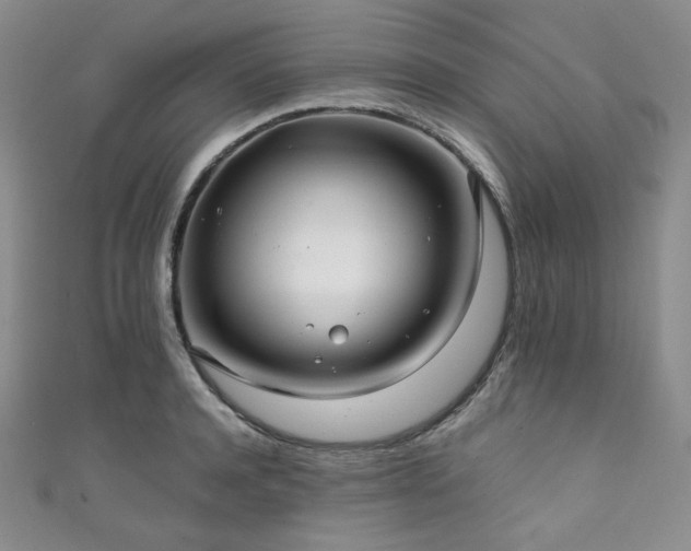 X0000111840944200907231405