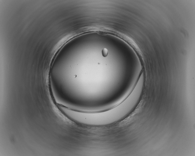 X0000111840946200907231405