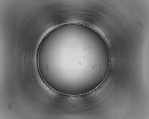 X0000111840947200907231405