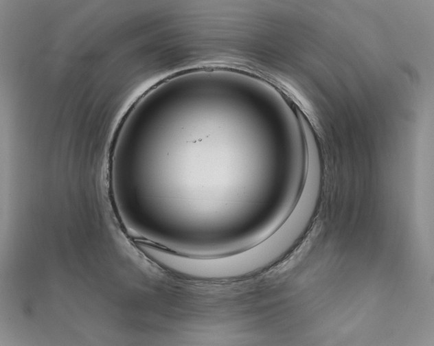 X0000111840948200907231405