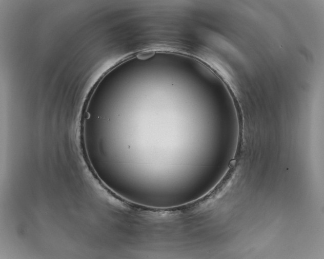 X0000111840949200907231405