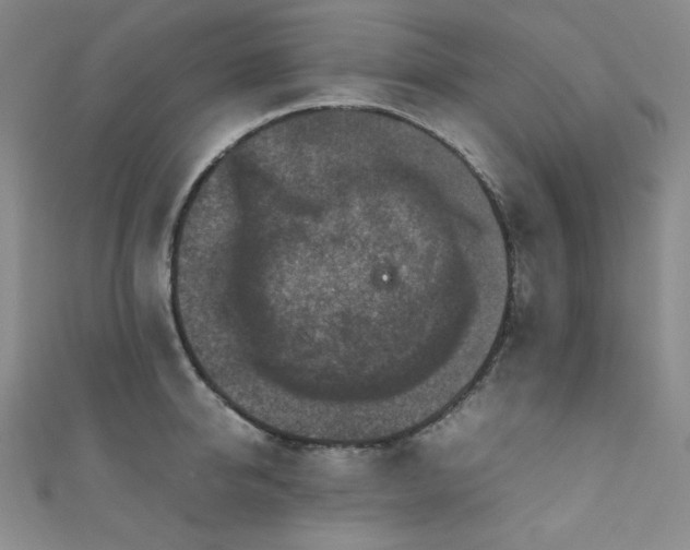 X0000111840950200907231405