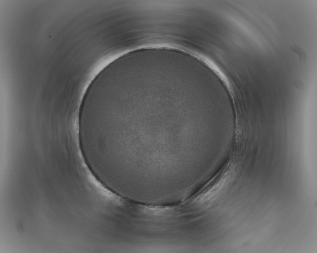 X0000111840951200907231405