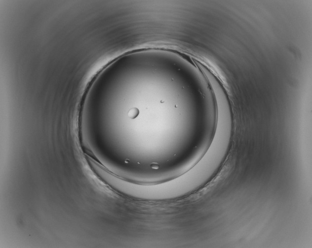 X0000111840952200907231405