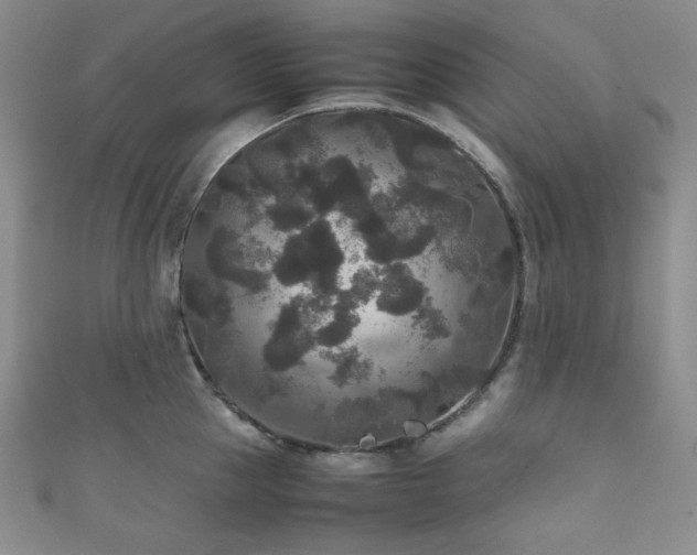 X0000111840953200907231405