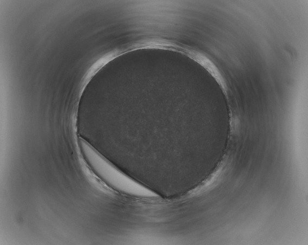 X0000111840954200907231405