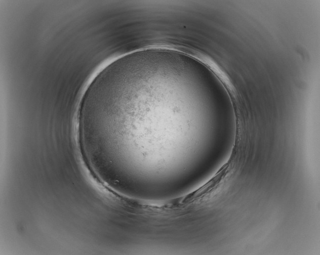 X0000111840955200907231405