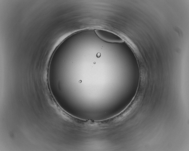 X0000111840956200907231405