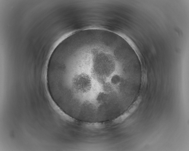 X0000111840957200907231405