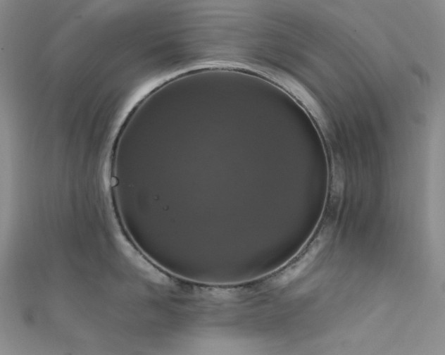 X0000111840958200907231405