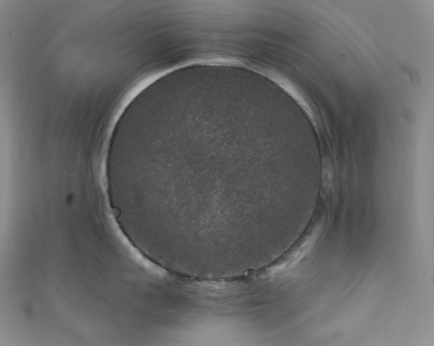 X0000111840959200907231405