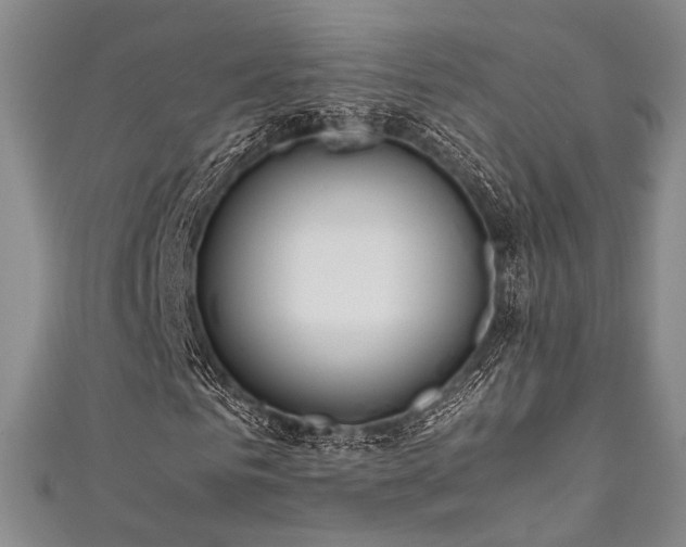 X0000111840961200907231405