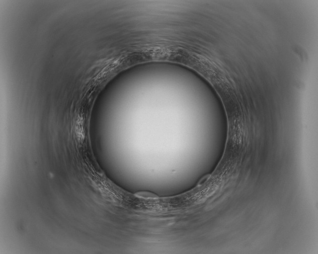 X0000111840962200907231405