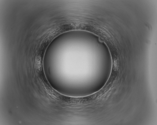 X0000111840963200907231405