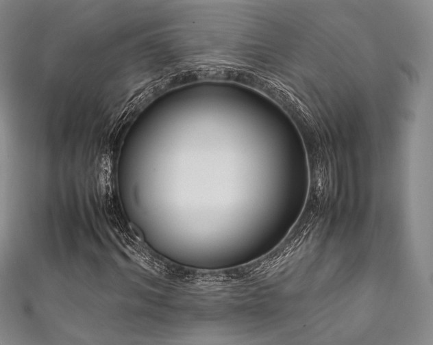 X0000111840964200907231405