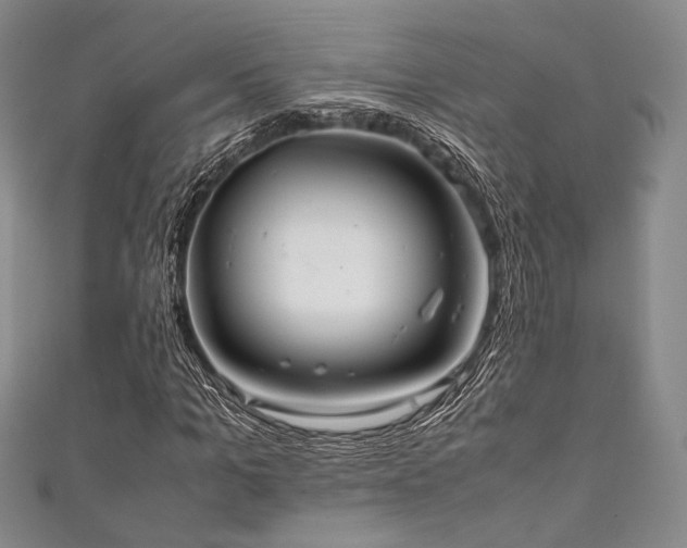 X0000111840965200907231405