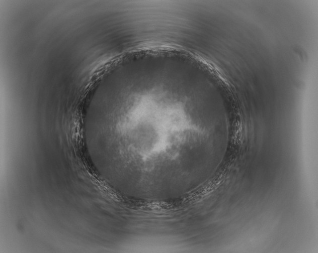 X0000111840966200907231405