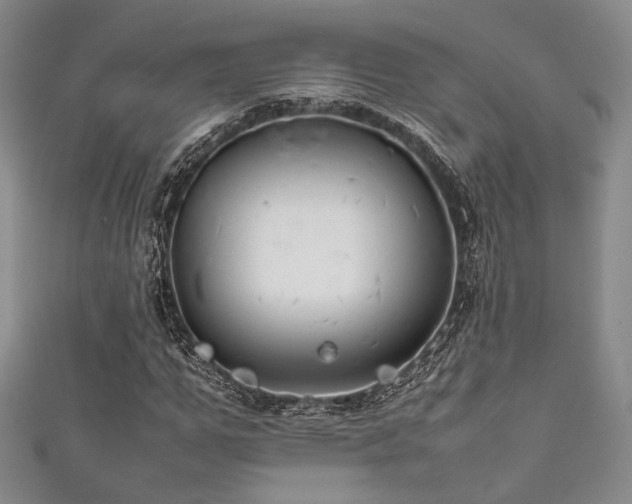 X0000111840967200907231405