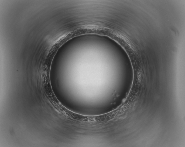 X0000111840968200907231405