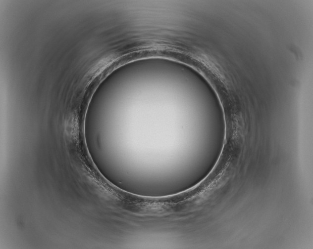 X0000111840969200907231405