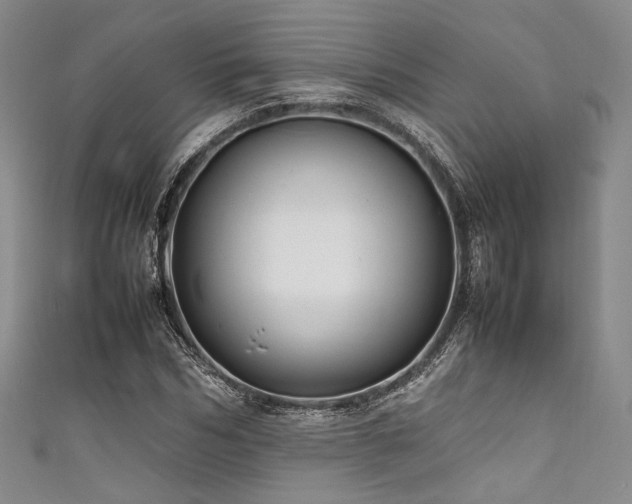 X0000111840970200907231405