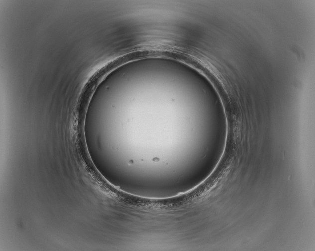 X0000111840971200907231404