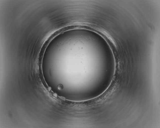 X0000111840972200907231404