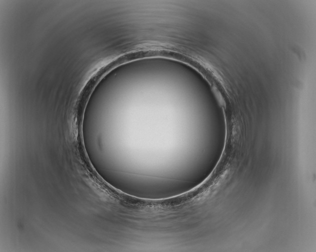 X0000111840973200907231404