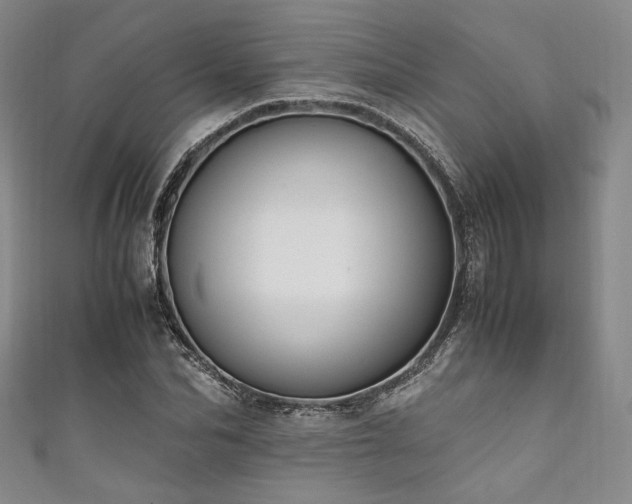 X0000111840974200907231404