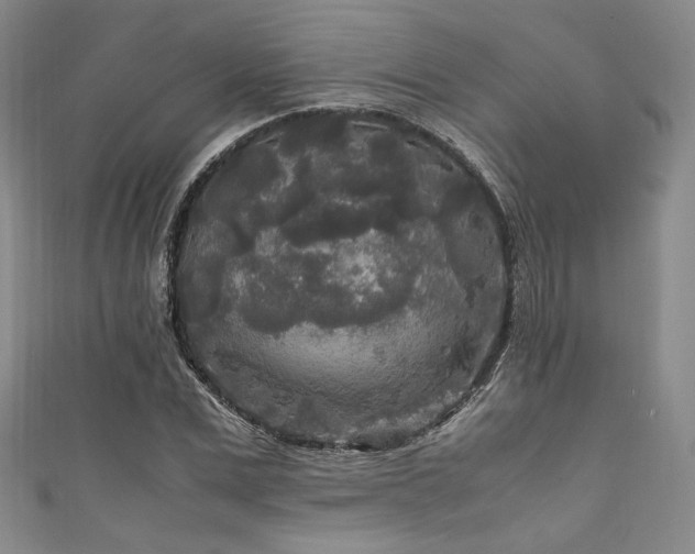 X0000111840975200907231404